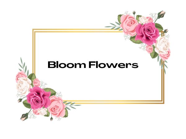 Bloom Flowers