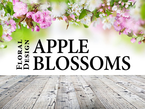 Apple Blossoms Floral Designs