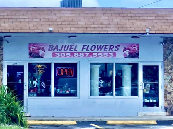 Bajuel Flower & Plants