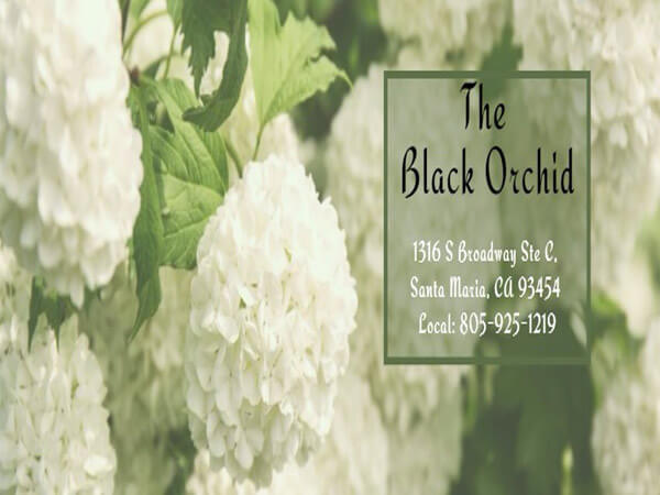 The Black Orchid