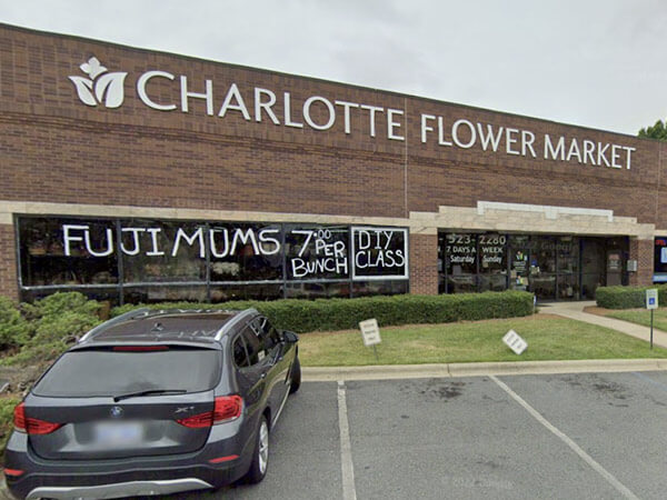 Flowers of Charlotte