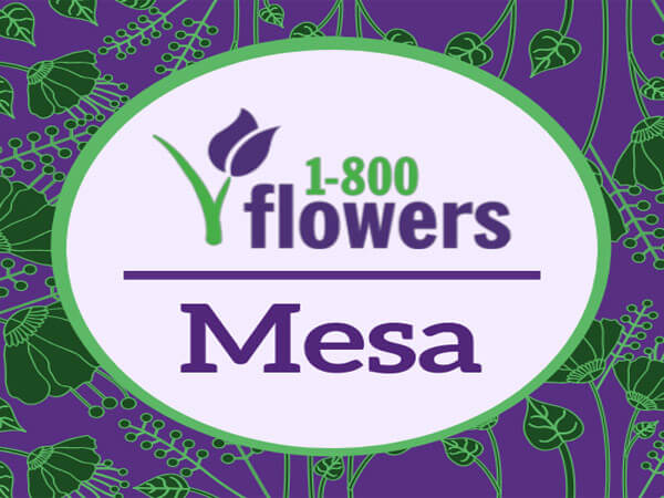 1-800-Flowers Mesa