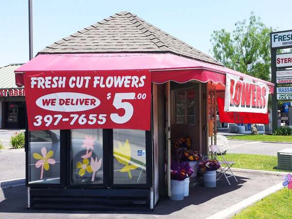 Fresh Cut Flowers