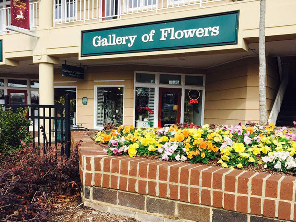 Gallery of Flowers