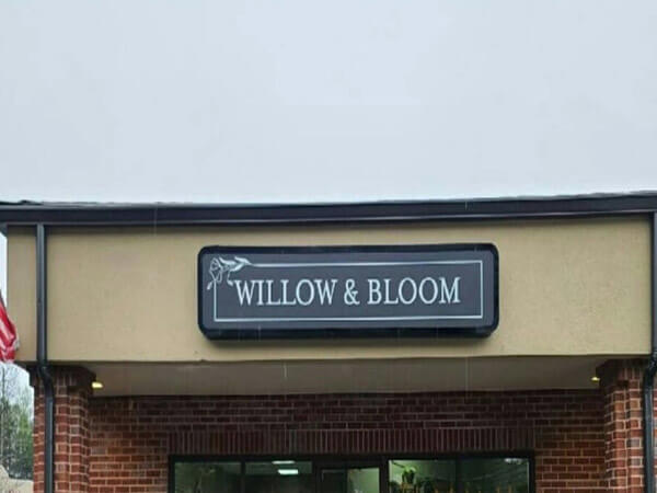 Willow and Bloom